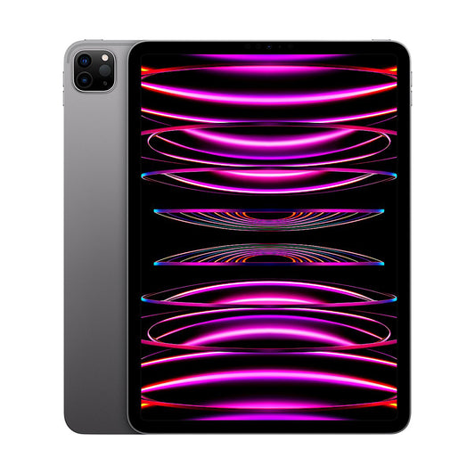 Apple 12.9-Inch iPad Pro with Wi-Fi - 256GB - Space Gray (MNXR3LL/A)