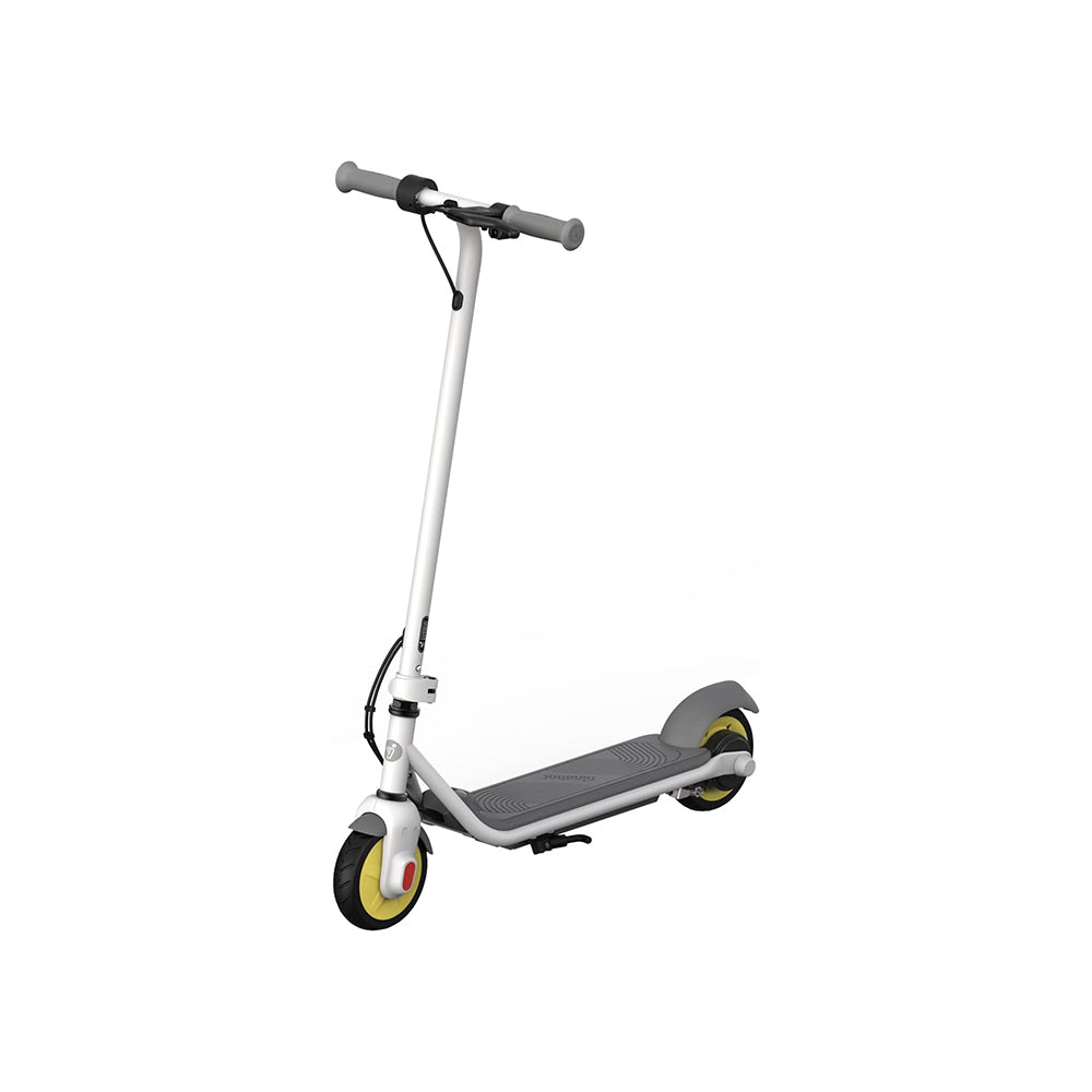 Segway Ninebot eKickScooter - Electric Kick Scooter for Kids Ages 6-14 (ZING C8)